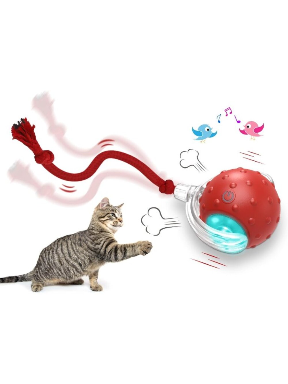 Interactive Cat Toy Ball for Indoor Cats - Fast Rolling, Chirping, Motion